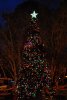 Ft. Wilderness Christmas Tree.jpg