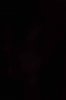 HM talented capture.jpg
