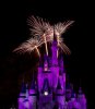 Wishes red over purple.jpg