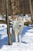 DSC_1503.JPG DSC_1503.JPG
